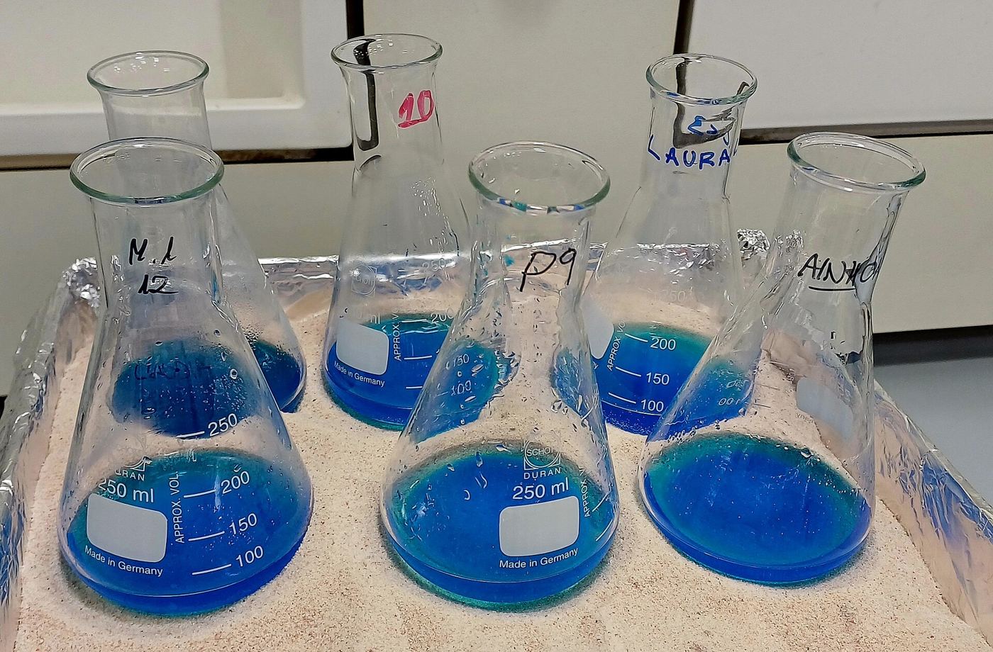 Acutaas Chemicals Opens Pilot Plant with OEB 4 Containment at Surat